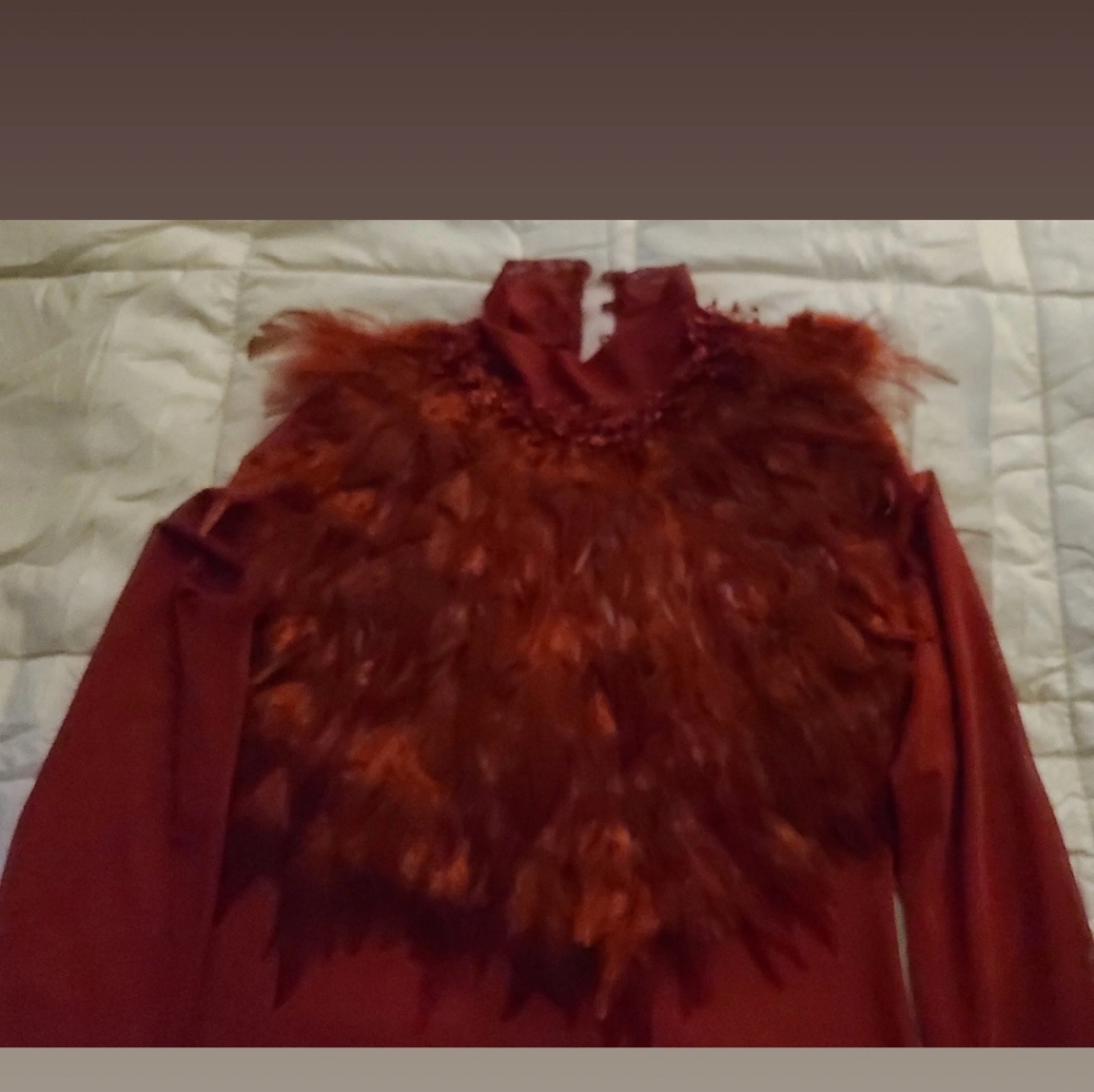 Ladies blouse